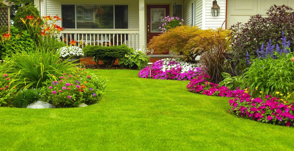 lawn mowing garden care