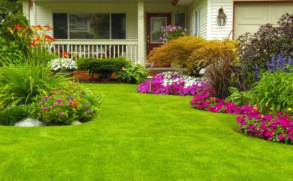 lawn mowing garden care