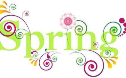 spring-lawn-care-tips-australia