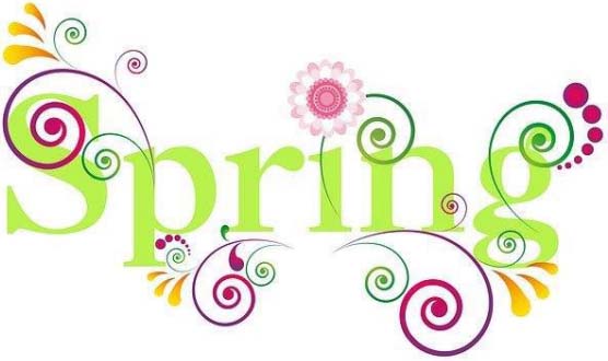 spring-lawn-care-tips-australia