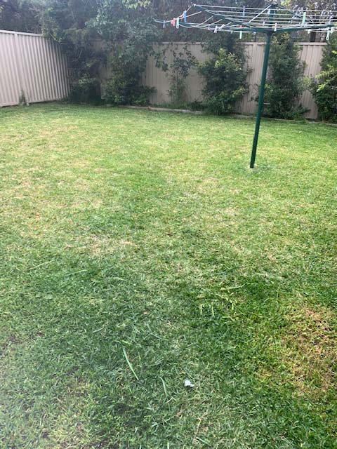 lawn-mowing-gardening-green-valley