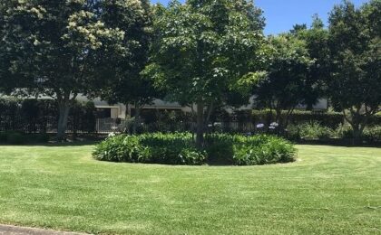 lawn-mowing-gardening