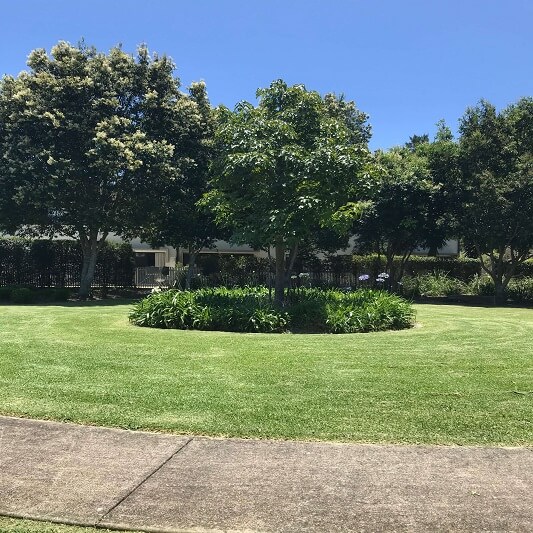 lawn-mowing-gardening