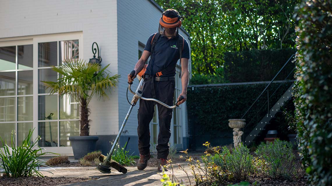 gardening-services-cairns