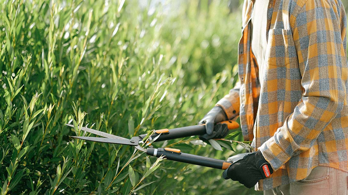 hedge-trimming-cairns hedge-trimming-cairns