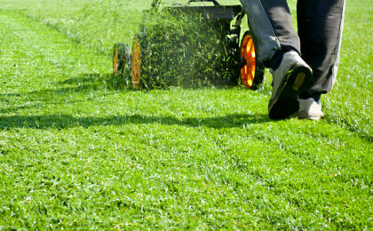 Lawn Care Services