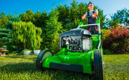 benefits lawn mowing regular maintenance