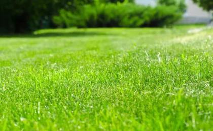 benefits owning lawn mowing franchise