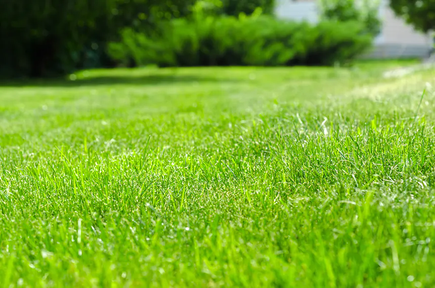 benefits owning lawn mowing franchise