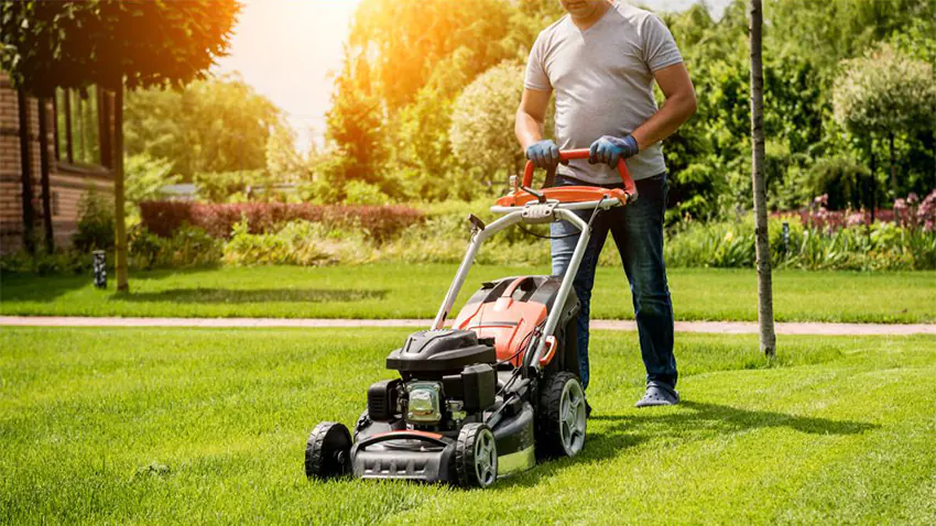 pros and cons of owning lawn care franchise
