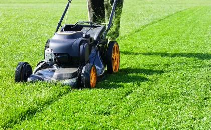 What is the Best Length to Mow Your Lawn?
