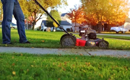 How to look after your lawn in autumn and winter