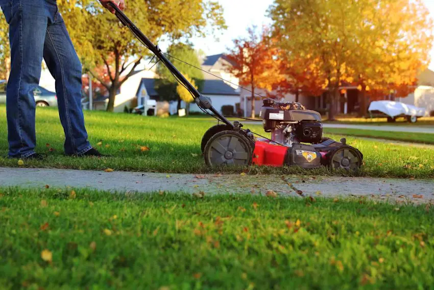 How to look after your lawn in autumn and winter